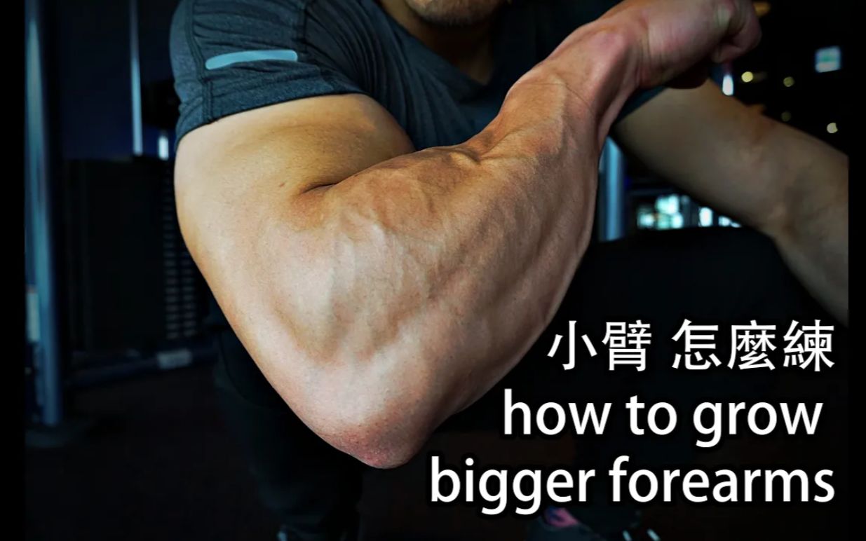 小臂怎么练 | how to grow bigger forearms |健身经验分享