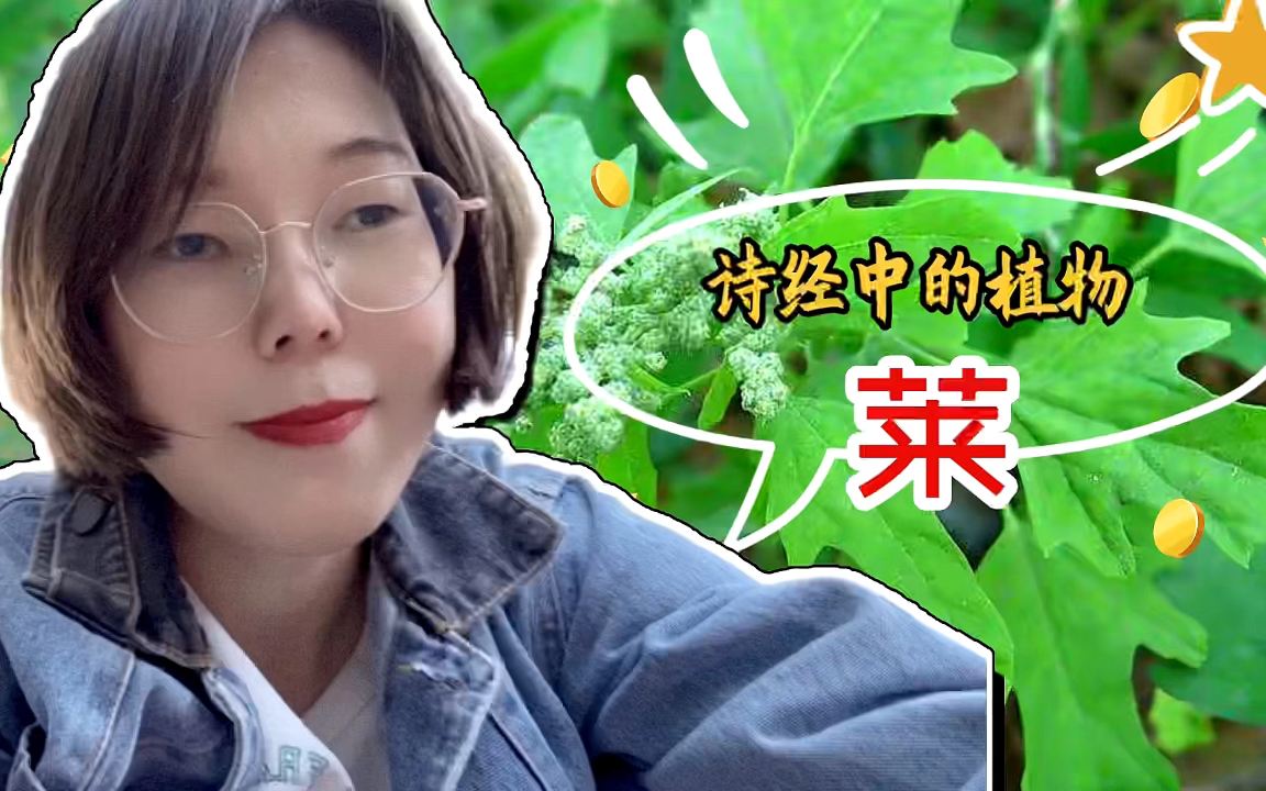 [图]诗经中的植物莱：为何牛羊吃的野草，却用来为君子祝寿？