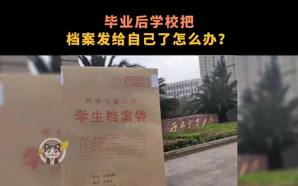 毕业后学校把档案发给我自己了怎么办?哔哩哔哩bilibili