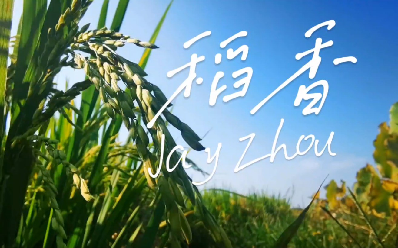 [图]周杰伦-稻香|完整版 动态歌词 LyricsVideo无损音质