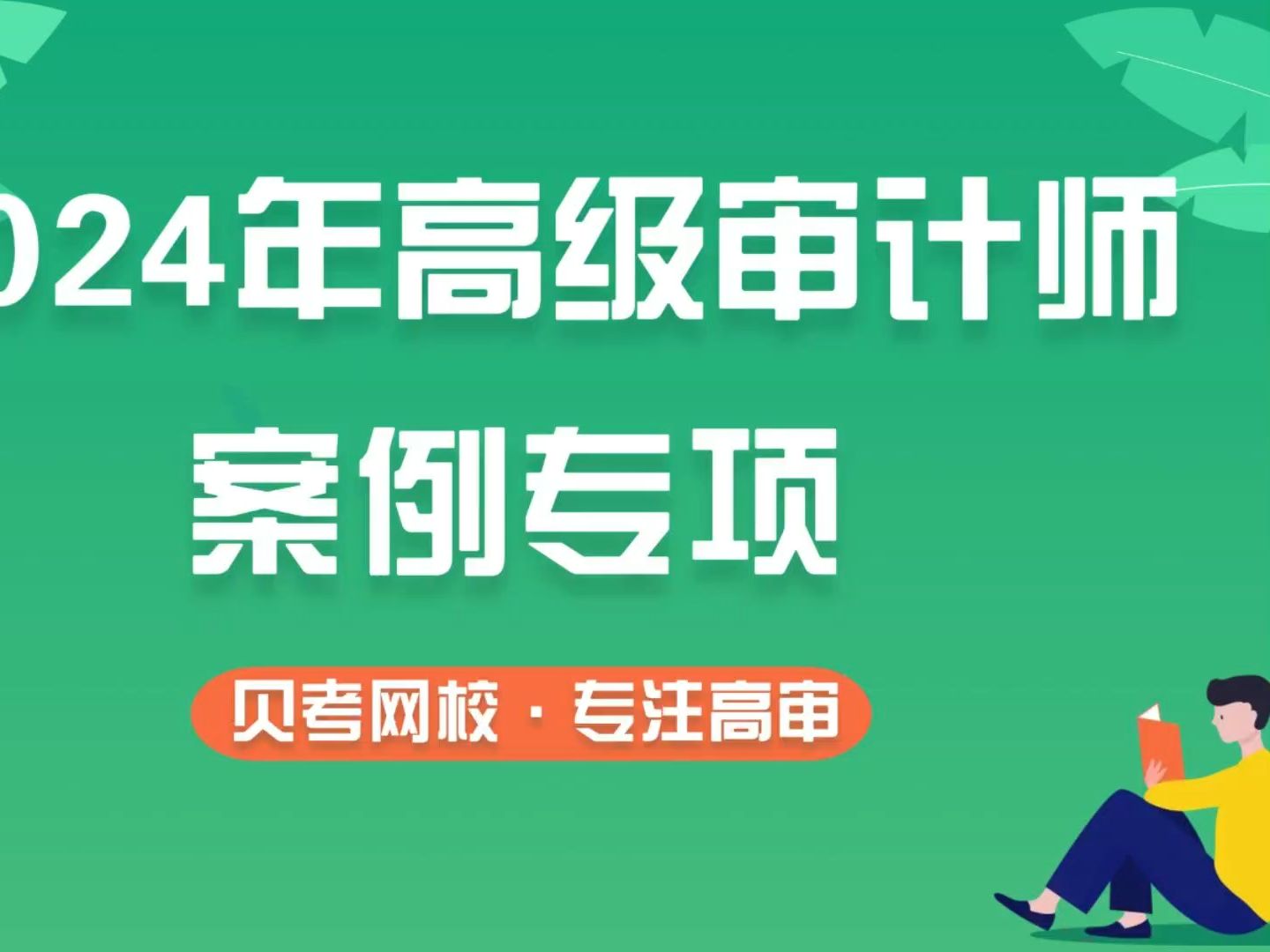 2024年高级审计师重点案例讲解(企业财务审计篇)哔哩哔哩bilibili