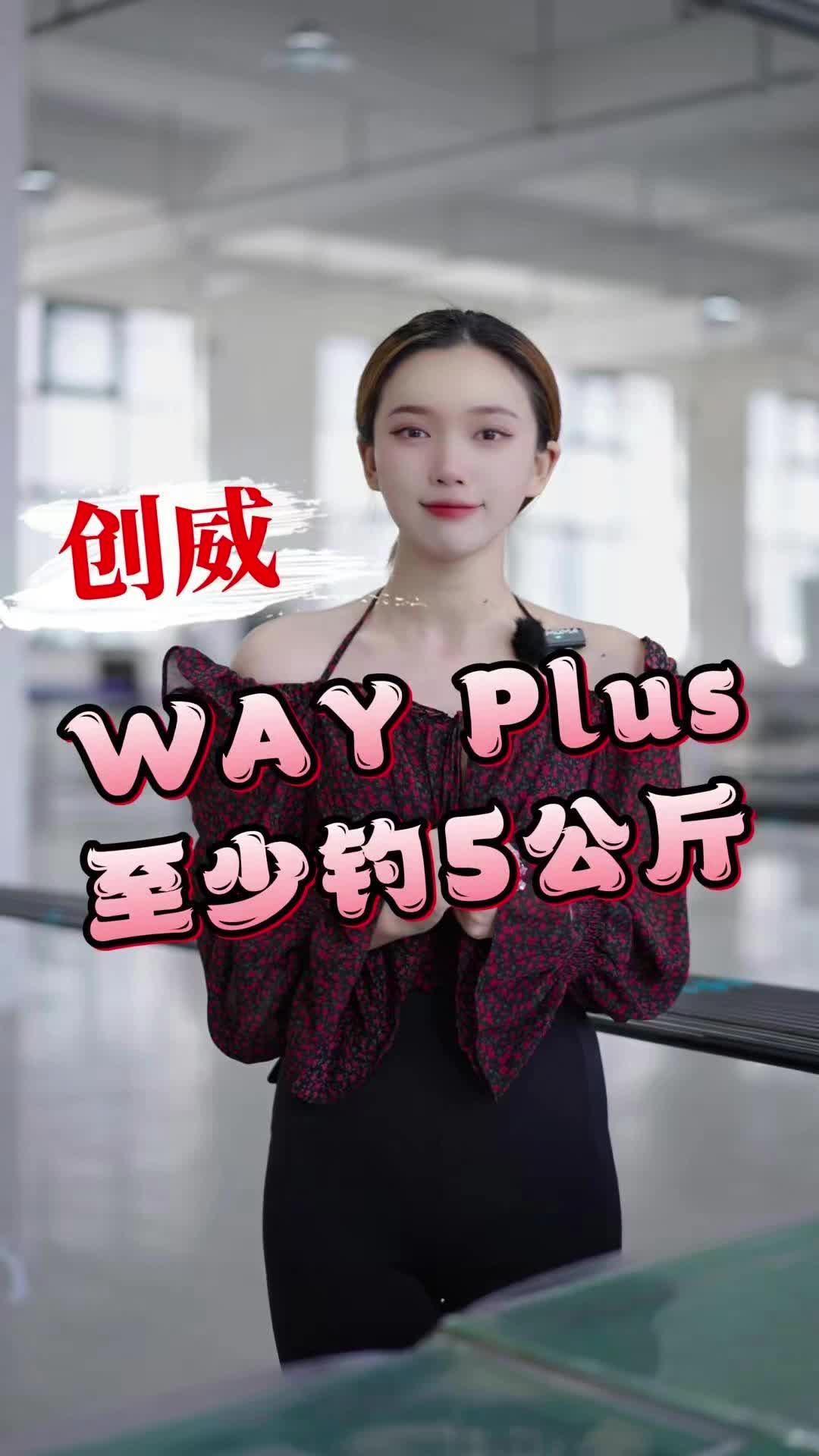 [图]wayplus，至少5公斤大钓重