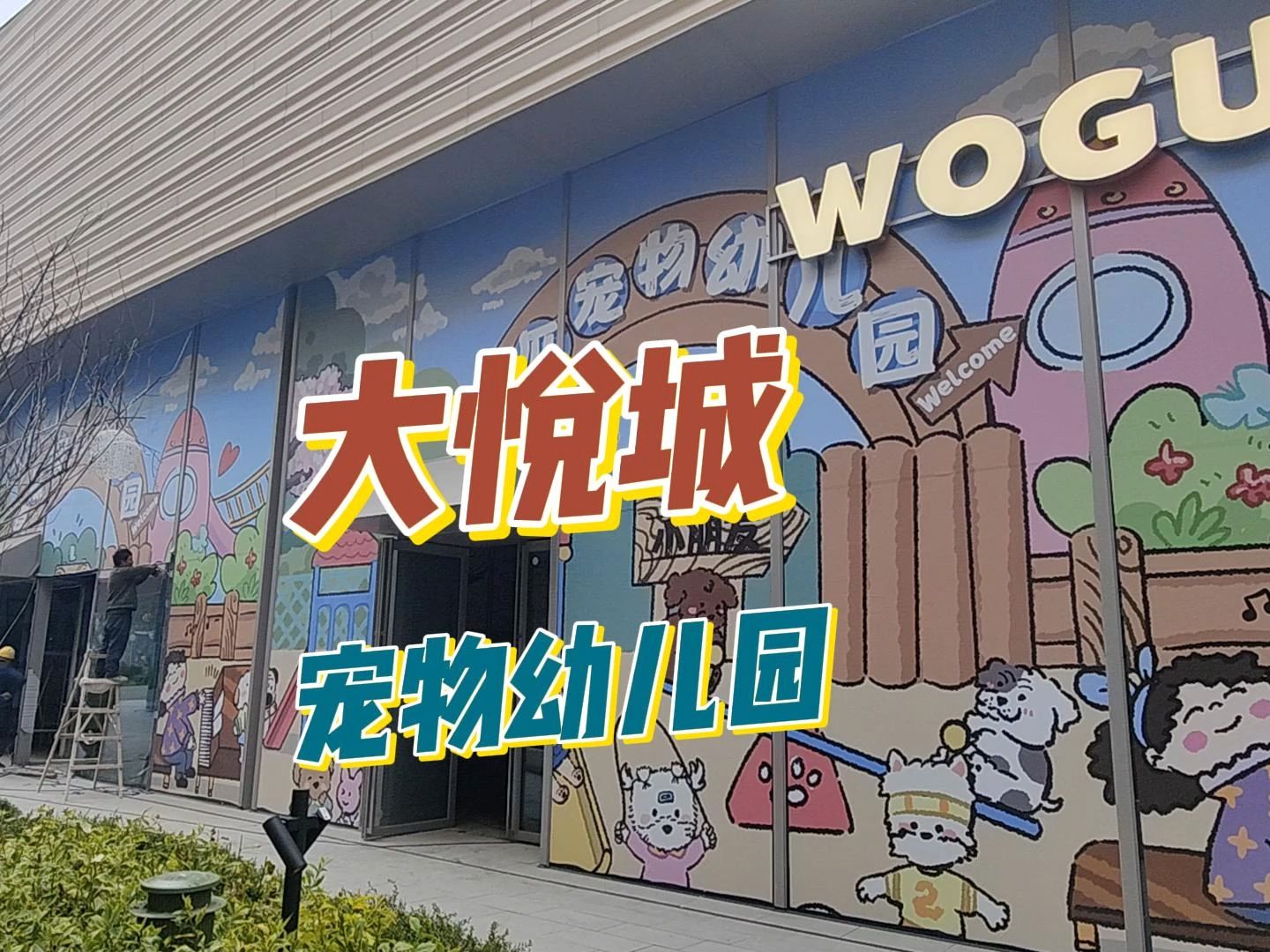 大悦城宠物幼儿园