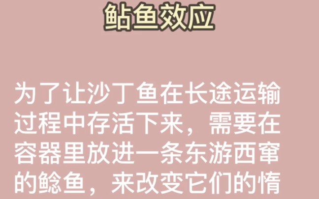 今日心理学知识打卡,你知道什么是鲶鱼效应吗?哔哩哔哩bilibili