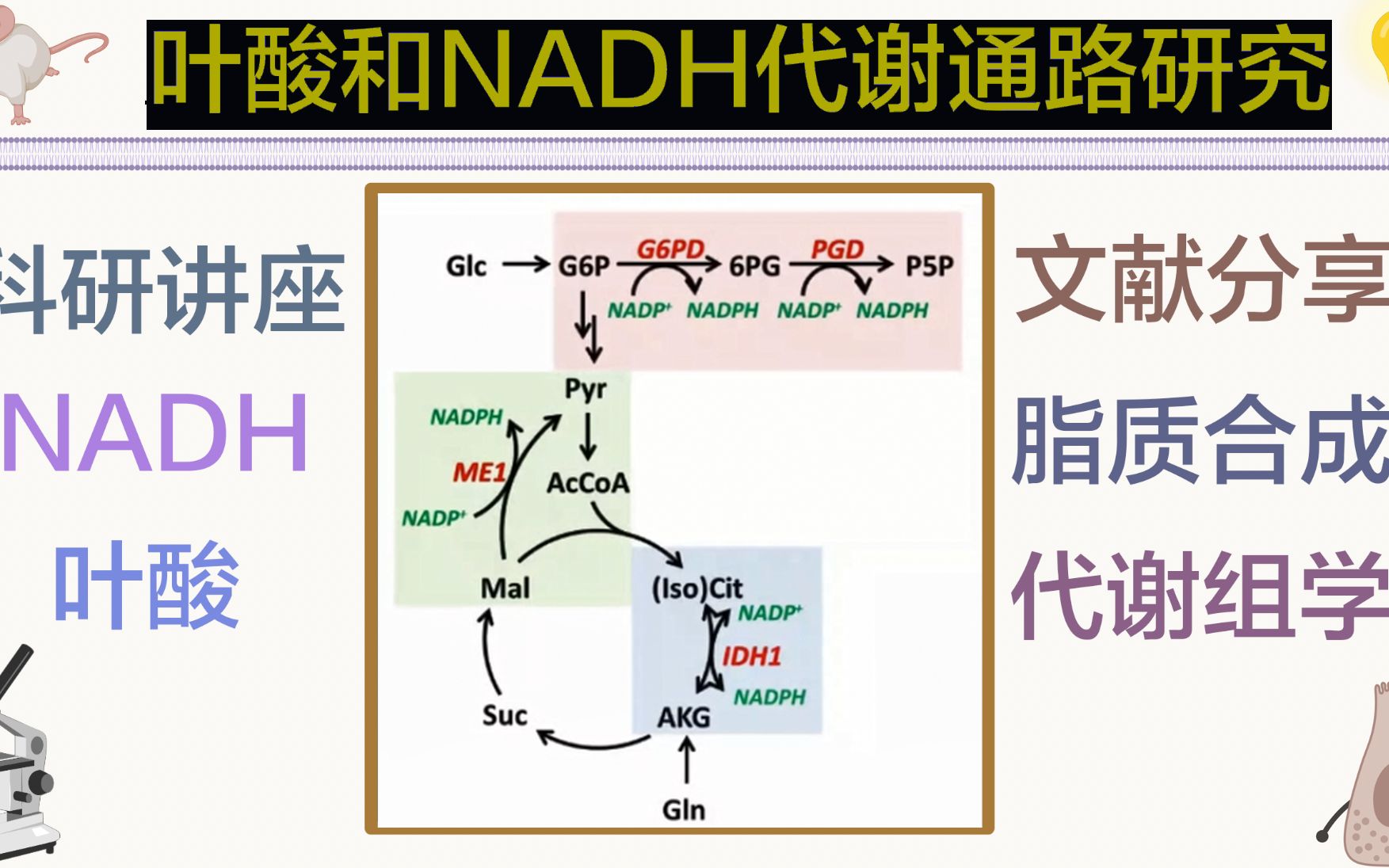 代谢通路分析