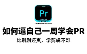 Download Video: 【PR教程】从零开始学剪辑（新手入门实用版2024）比刷剧还爽