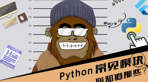 python 常见模块 你知道哪些 第17节 python中的常见模块 跟着SKY学编程