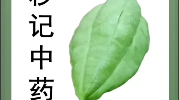 止血宁胶囊的功效(止血宁胶囊,快速止血祛瘀神器)