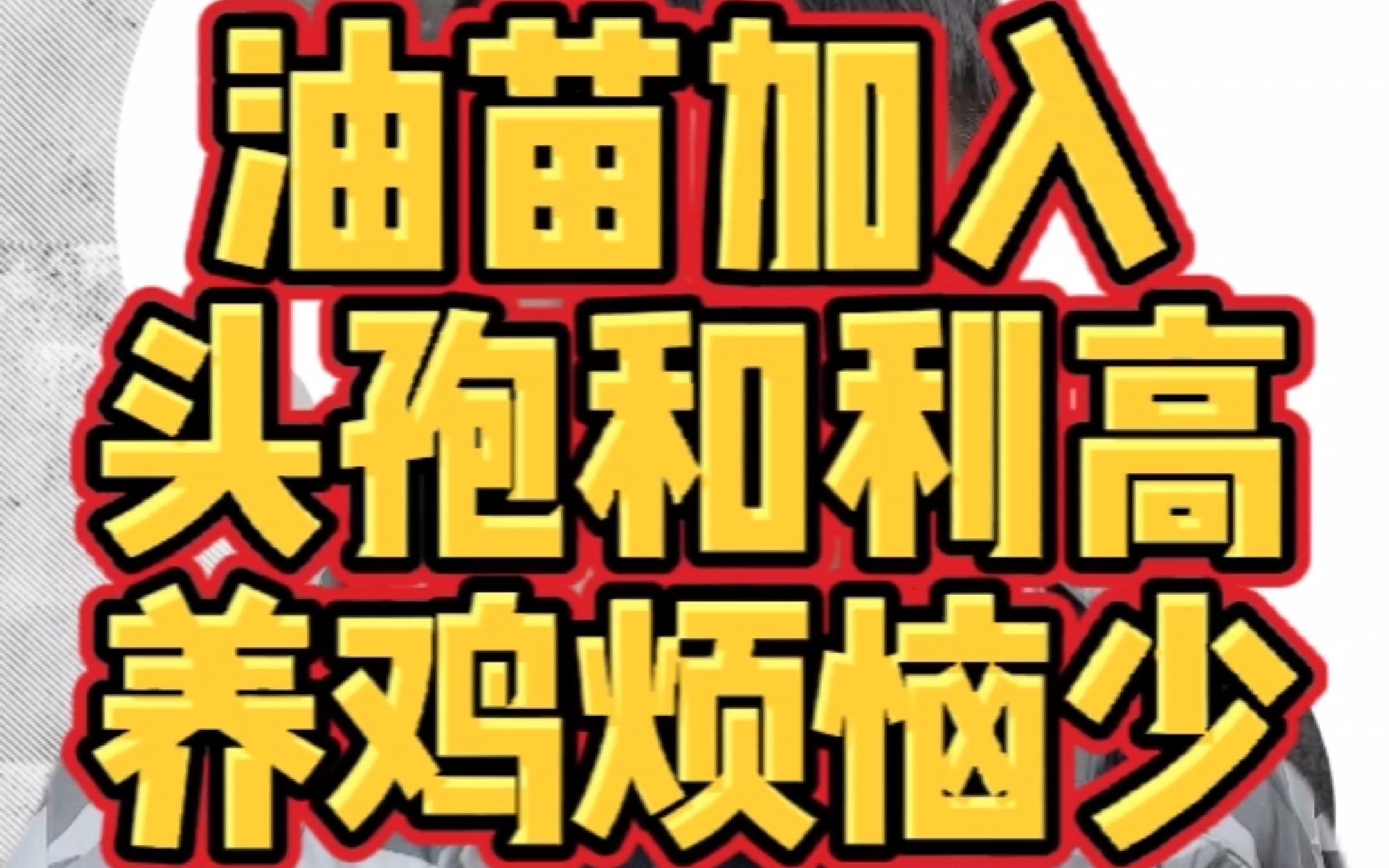 油苗加入头孢和利高,养鸡烦恼少 油苗当中加入头孢和利高,有什么好处?哔哩哔哩bilibili