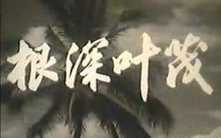 【1974上影纪录片】根深叶茂哔哩哔哩bilibili