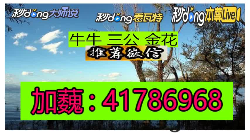 最新话题!哪里有好玩的微 信牛牛群