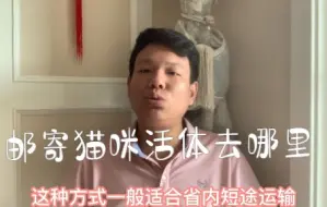 Download Video: 新手养猫注意了，邮寄猫咪活体去哪里寄？别担心这些地方都可以