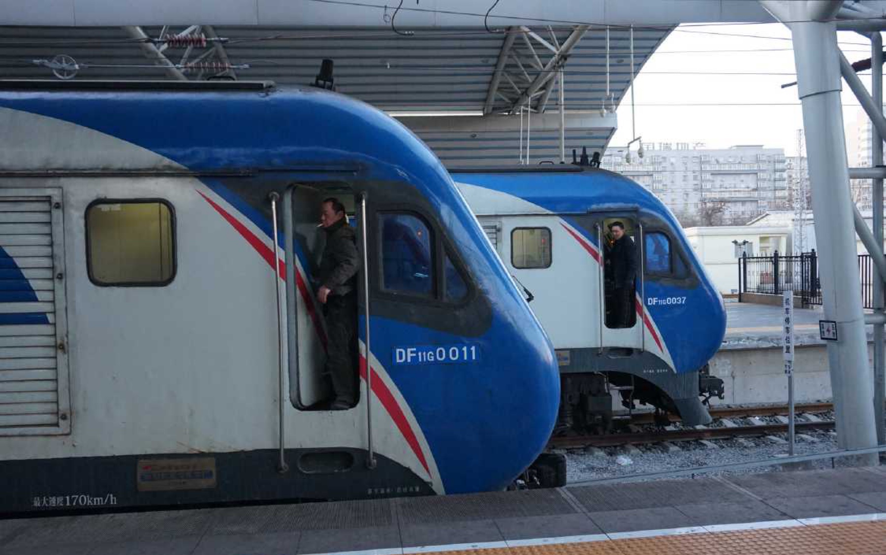 转载永远京沪十三猪在绿皮车上会京沪十三猪