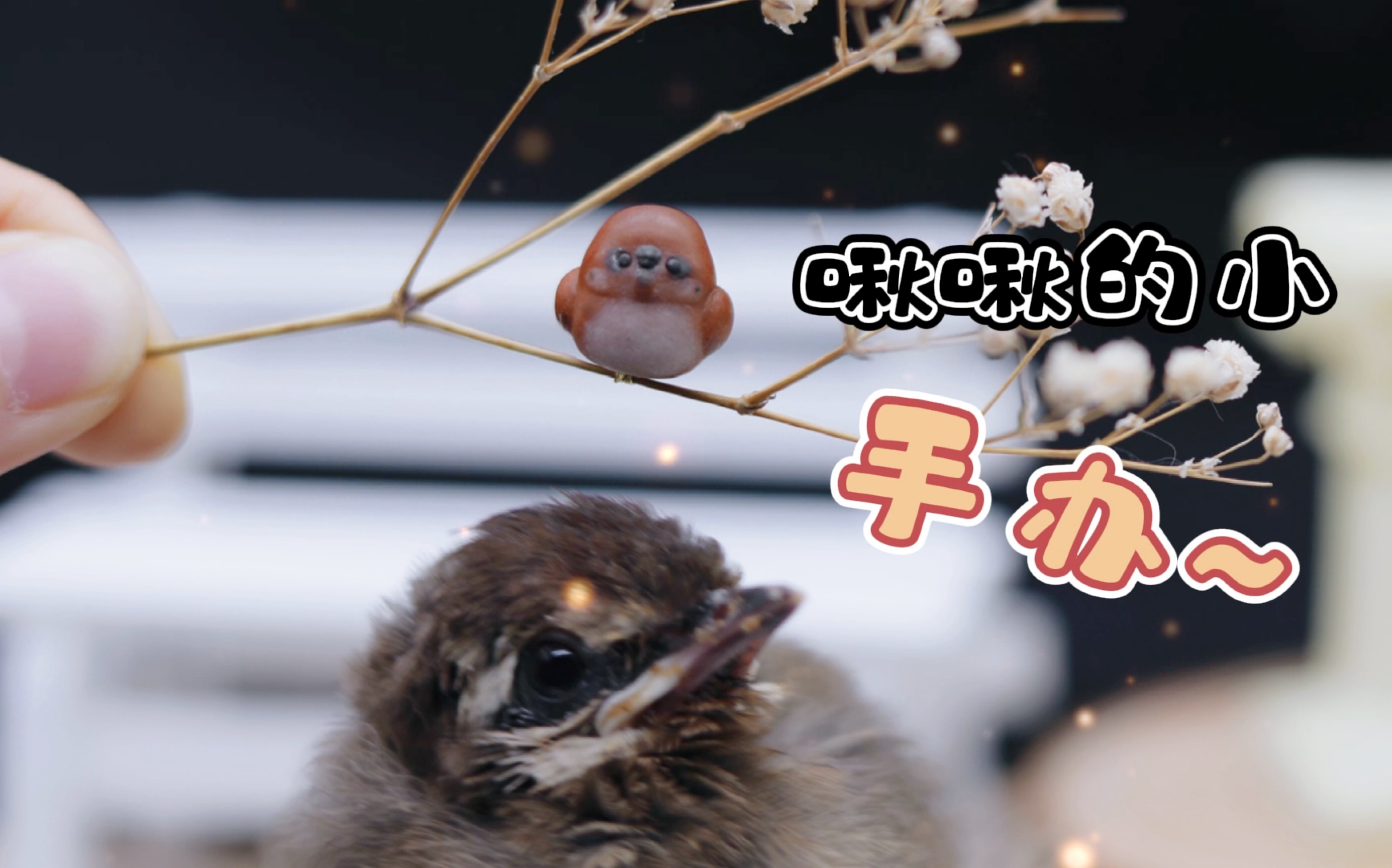 【粘土教程】啾啾的小手办之小小小麻雀