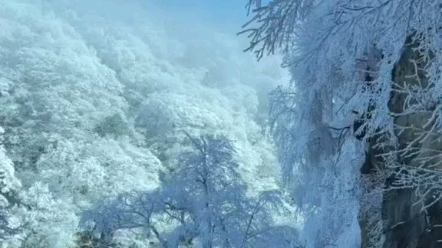 [图]雪一落这里就美成了诗 ，总有人翻山越岭为你而来 ，奔赴一场雪的快乐 。