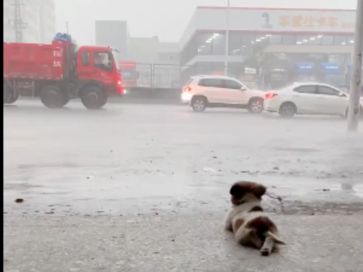 [图]夏季的雨天，总是有许多伤心的故事