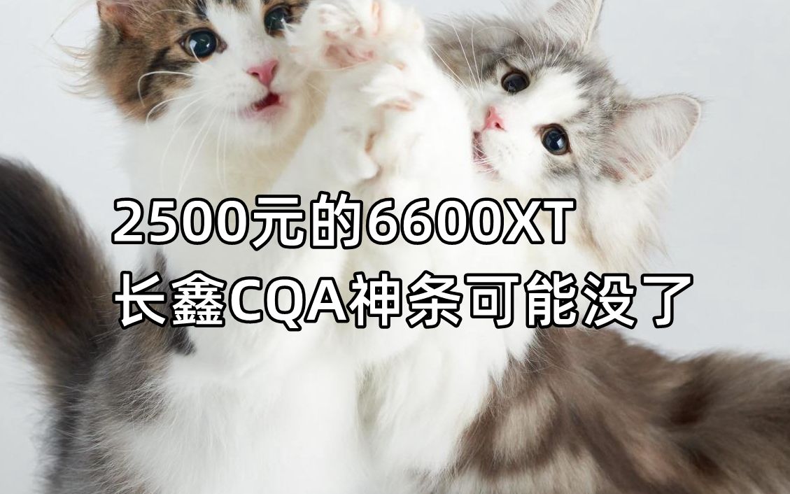 2500元的6600XT,长鑫CQA神条可能没了3月12日哔哩哔哩bilibili