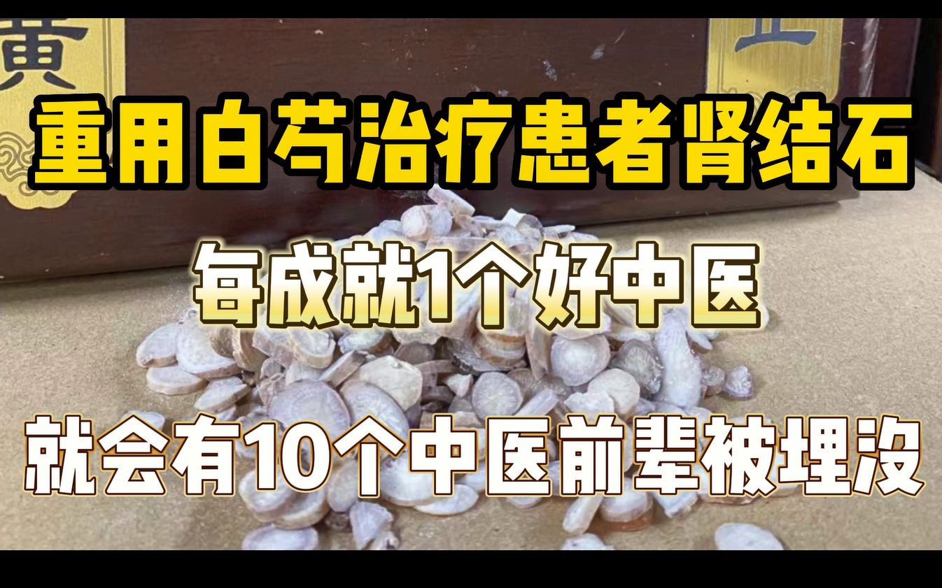 用白芍治疗肾结石,每成就一个好中医,就会有十个中医前辈被埋没哔哩哔哩bilibili