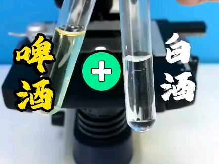 啤酒喝完吃白酒有害吗(喝啤酒后喝白酒会怎么样)