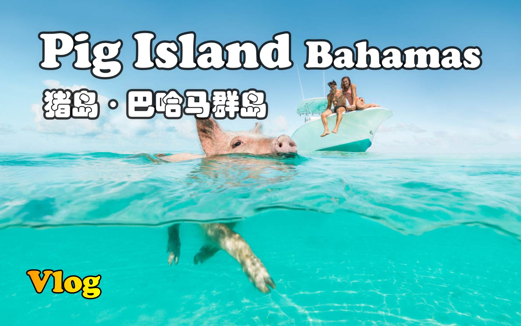 【怡橙出品】Vlog系列之巴哈马群岛"猪猪岛”Bahamas Pig Island