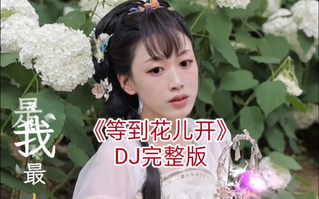 春已来花儿开…《等到花儿开》DJ完整版哔哩哔哩bilibili