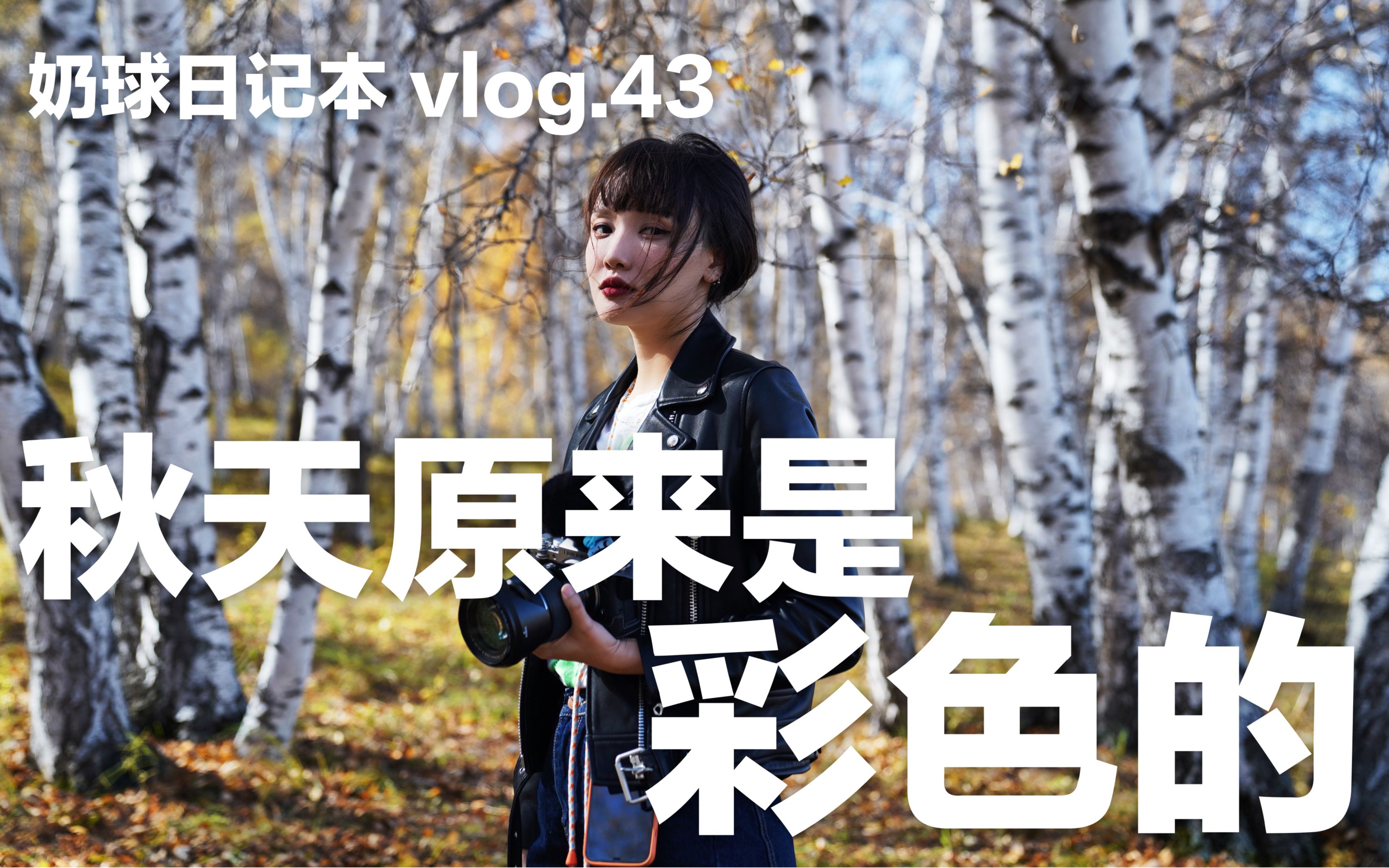 秋天原来是彩色的|vlog.43哔哩哔哩bilibili