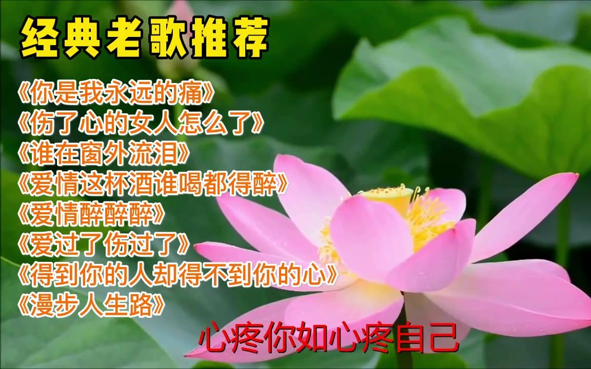《你是我永远的痛》《伤了心的女人怎么了》《谁在窗外流泪》《爱情这