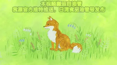 どんぎつね-哔哩哔哩_Bilibili