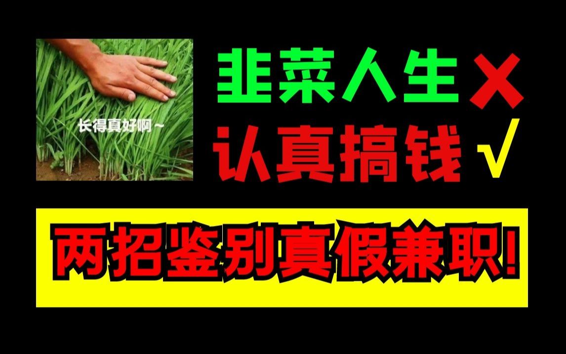 【兼职避坑】对韭菜人生说拜拜,两招教你鉴别真假兼职!哔哩哔哩bilibili