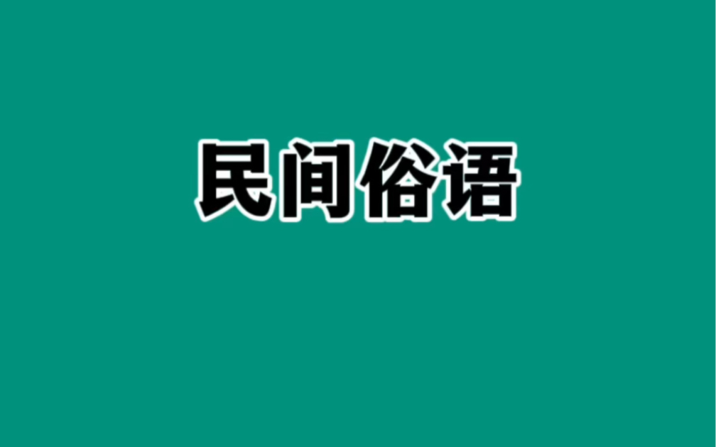 这些民间流传的俗语,都有它们的道理!#涨知识哔哩哔哩bilibili