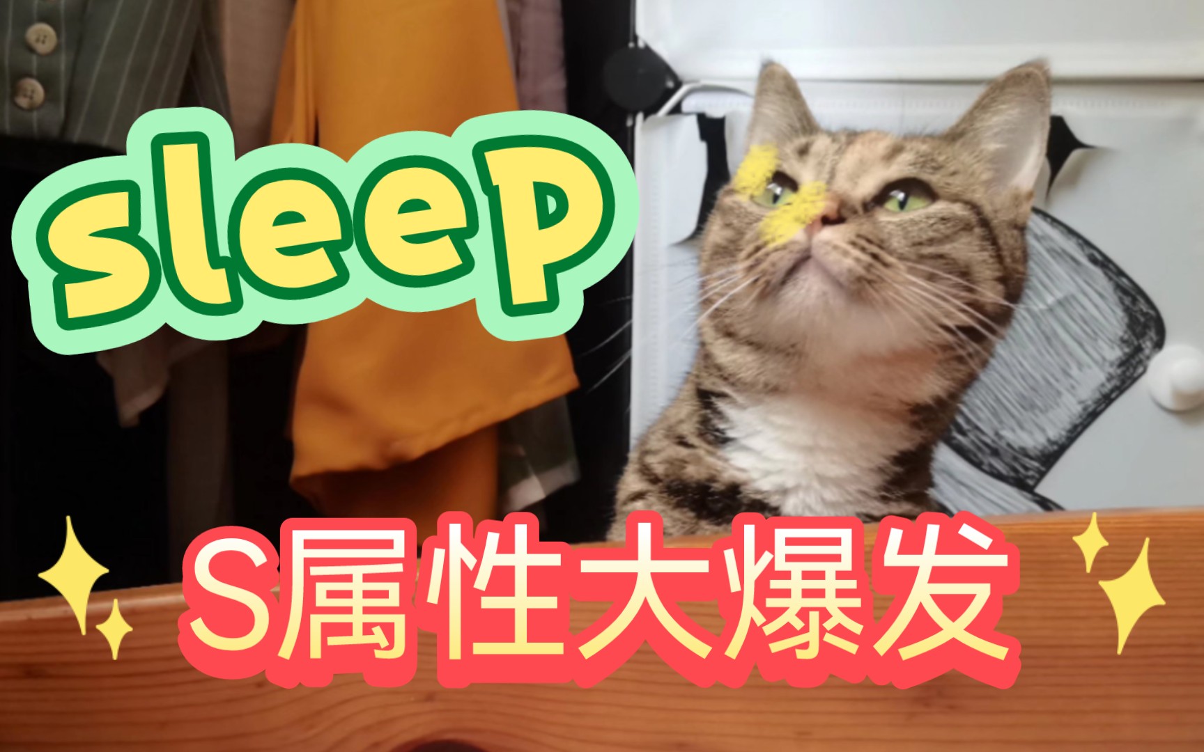 【呼呼日记】猫猫s属性大爆发!sleep!呼呼睡觉合集