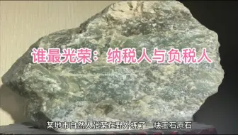 谁最光荣：纳税人与负税人