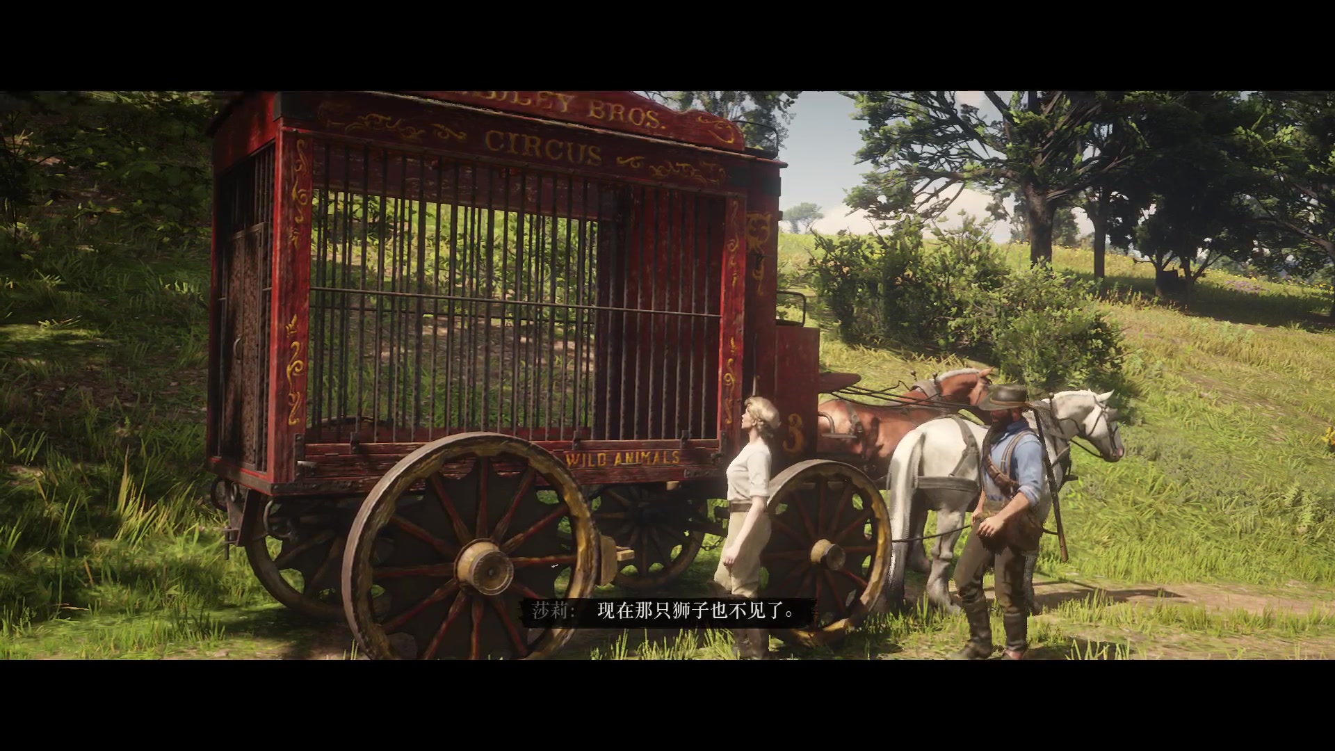 【驯兽记02,03】照猫画虎,焉得百兽之王