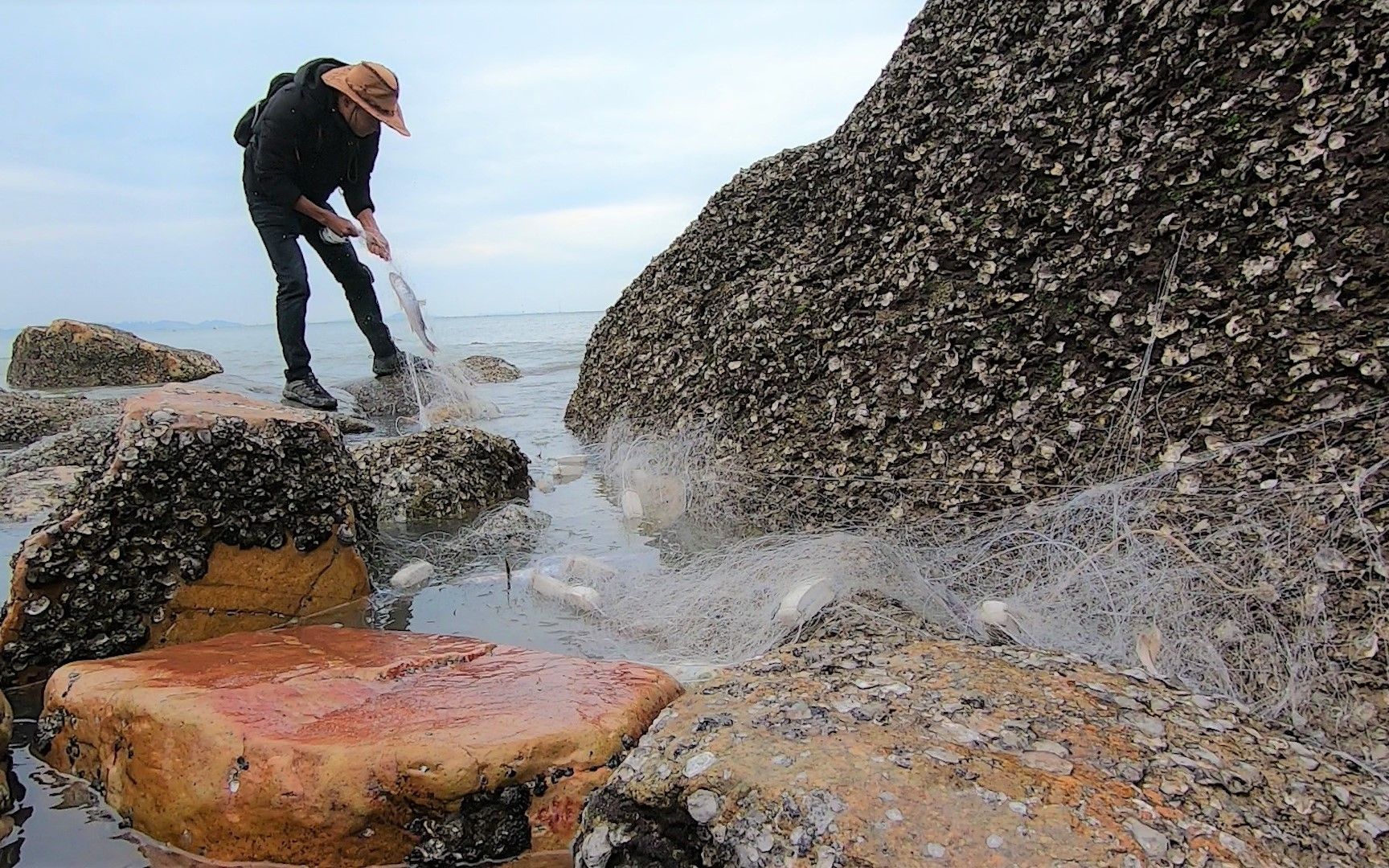 小囿赶海找货撞大运!白捡到一堆五十斤的鱼,装都装不下直接爆桶