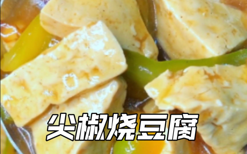 辣味狂飙!尖椒豆腐制作大公开!哔哩哔哩bilibili