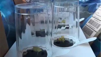 Diy客厅植物角 开箱 打造客厅迷你植物温室 哔哩哔哩 Bilibili Diy客厅植物角 开箱 打造客厅迷你植物温室 哔哩哔哩 Bilibili