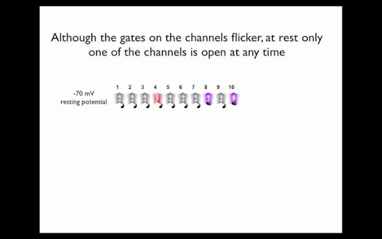 膜片钳电生理基本概念小视频(十二):膜片钳的原理2哔哩哔哩bilibili