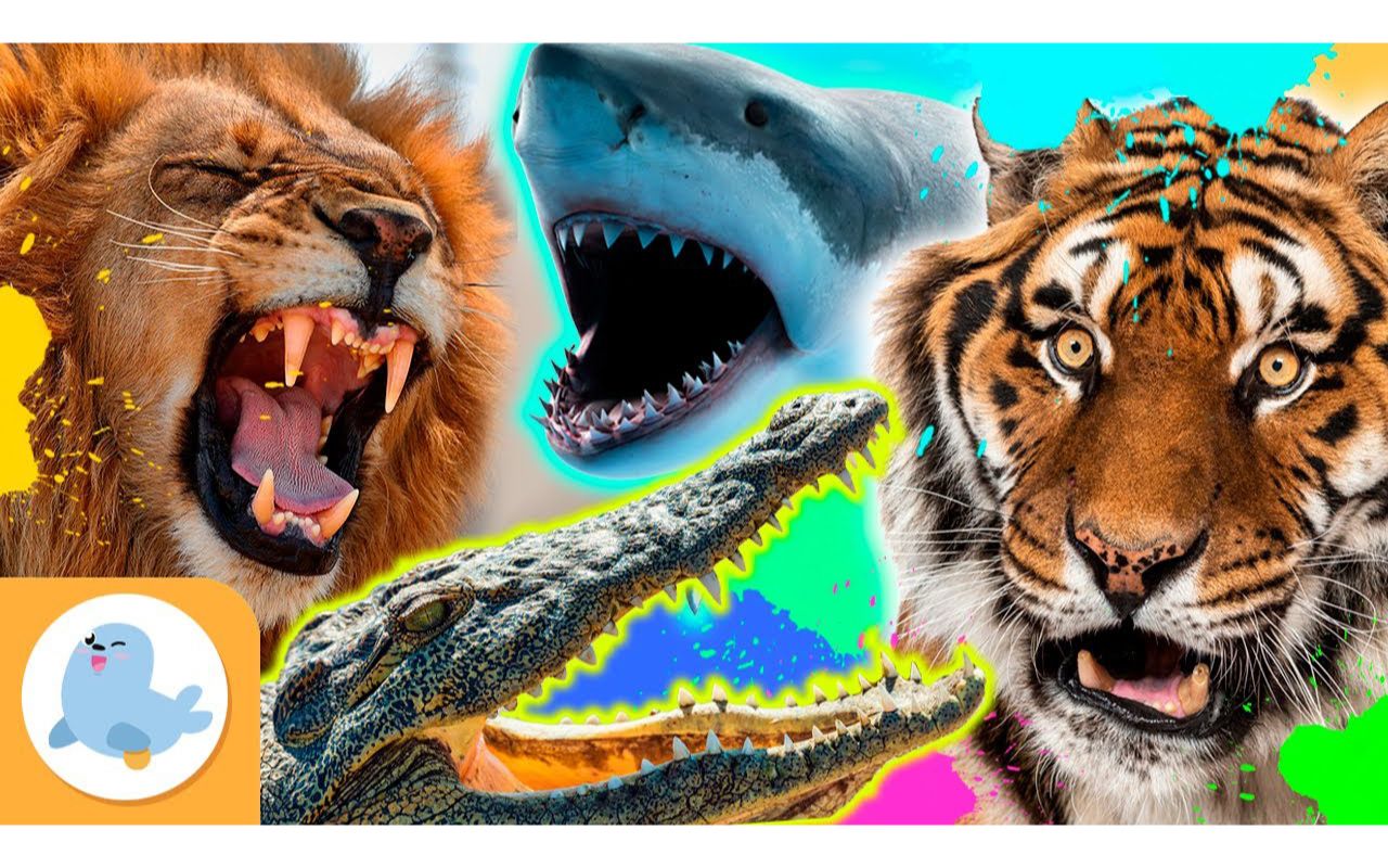 [图]The MOST FEROCIOUS ANIMALS in the world ???? LIONS, TIGERS, SHARKS...