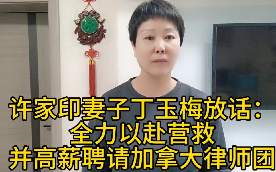 许家印妻子丁玉梅放话:全力以赴营救,并高薪聘请加拿大律师团哔哩哔哩bilibili