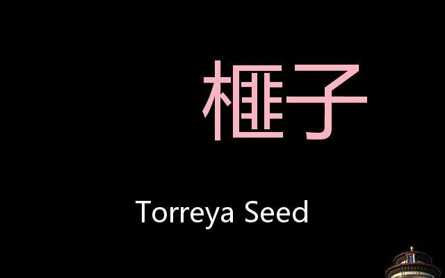 榧子 Chinese Pronunciation Torreya Seed哔哩哔哩bilibili