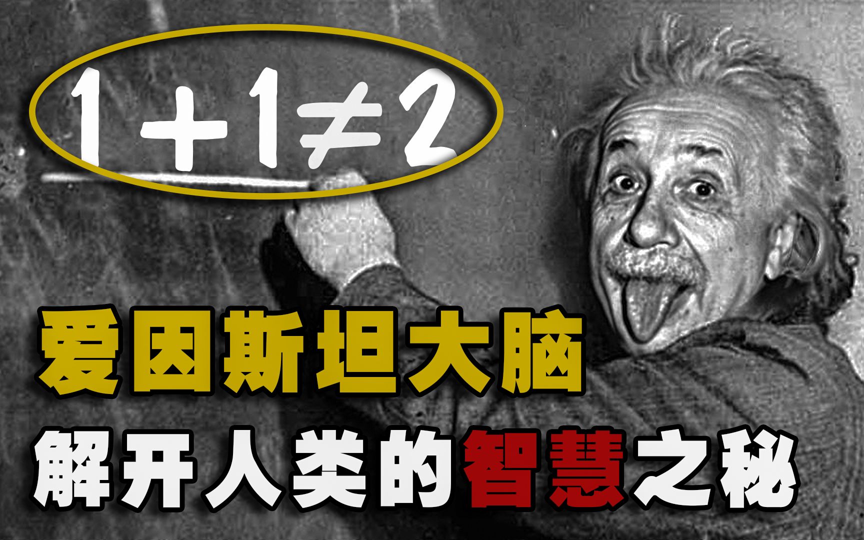 [图]【素食名人传】 爱因斯坦竟然是素食主义者！去世后大脑还被强行分成240块切片！64年过去也没研究出来答案