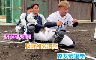 古賀哉子 哔哩哔哩 Bilibili