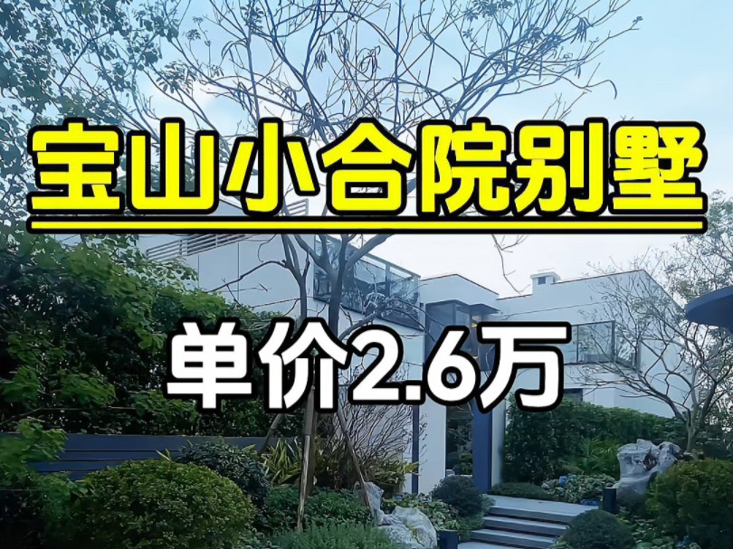 宝山单价仅2.6万的合院小别墅哔哩哔哩bilibili