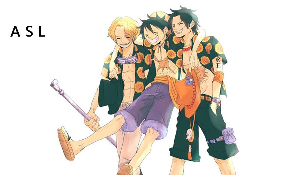 海贼王asl三兄弟的羁绊