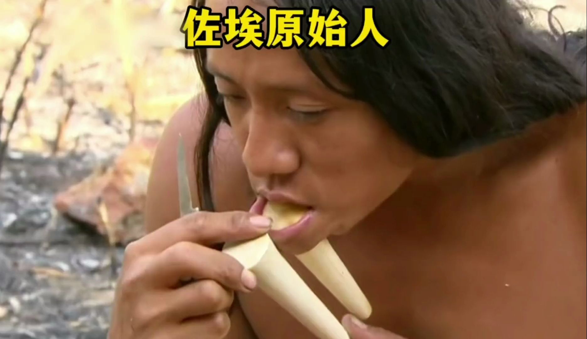 木棍插入下唇是种什么体验?看完佐埃人令人大吃一惊