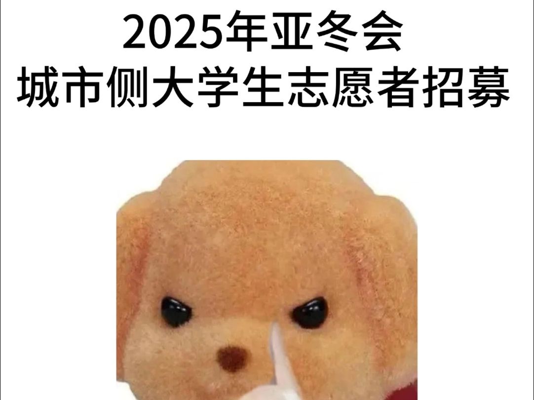 加志愿时长!2025年亚冬会城市侧大学生志愿者招募!哔哩哔哩bilibili