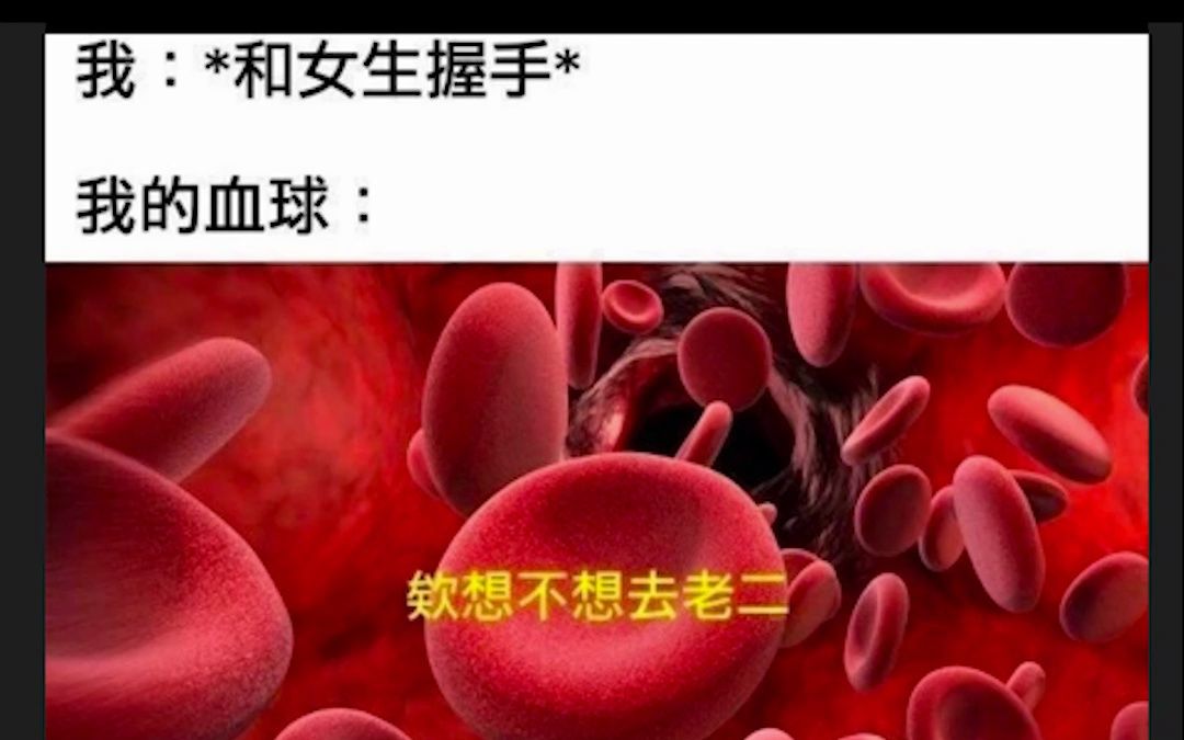 搞笑沙雕图 我︰*和女生握手*我的血球∶哔哩哔哩bilibili