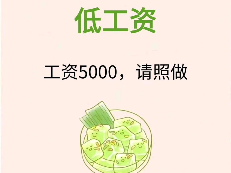 低工资,工资5000请照做,可放心尝试的⑥个方法哔哩哔哩bilibili