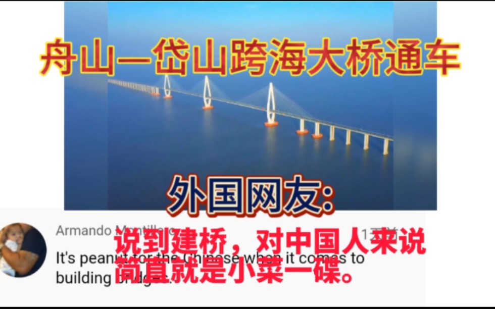 舟山—岱山跨海大桥通车,外国网友:建桥对中国人来说是小菜一碟哔哩哔哩bilibili