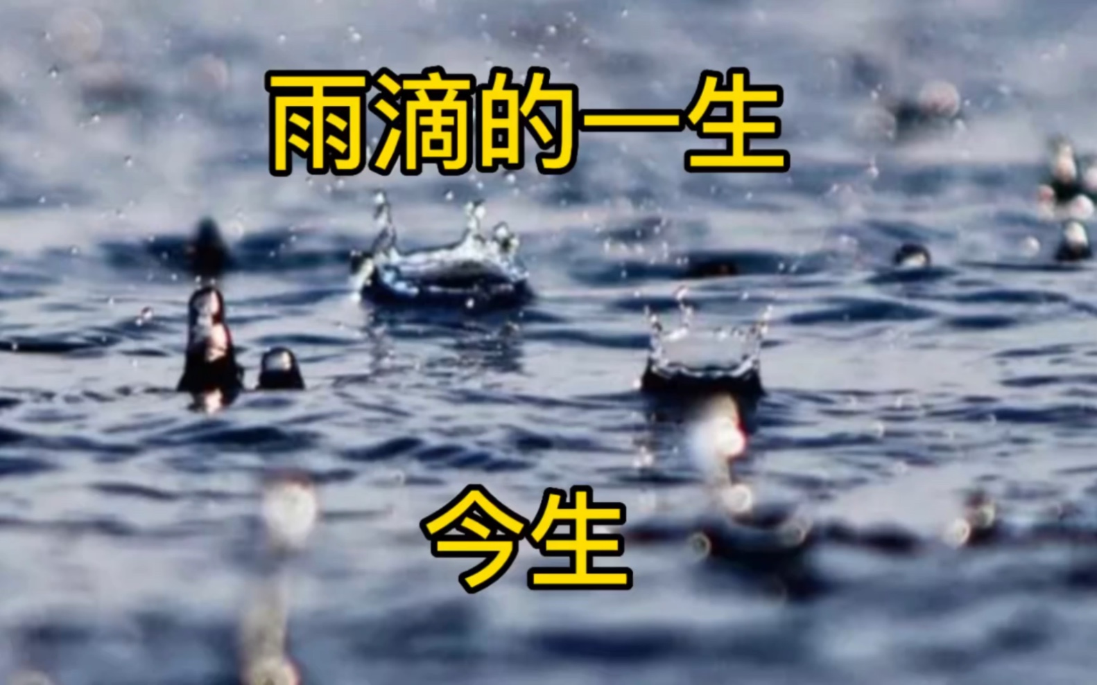 [图]雨滴的一生—今生